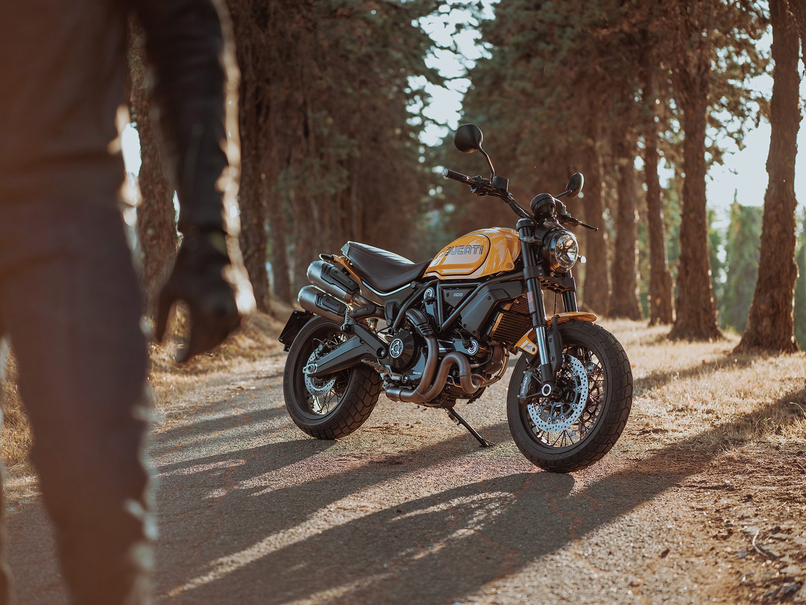 ducati scrambler 1100 off road