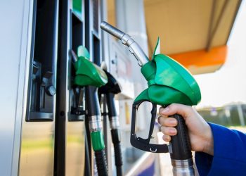 Person holding petrol pump nozzle