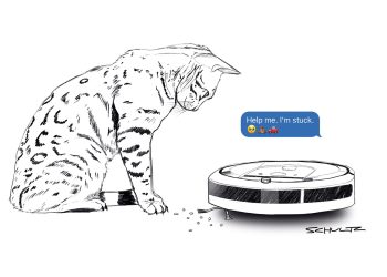 cat looking at robot vacuum cleaner