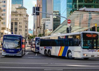 Buses on Queen Street in Auckland