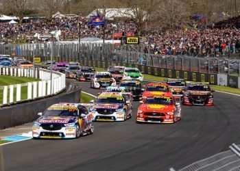 Supercars field racing at Pukekohe Park Raceway