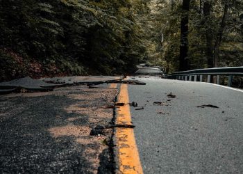 Potholed road through trees