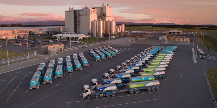 Fonterra milk tankers parked outside of dairy factory