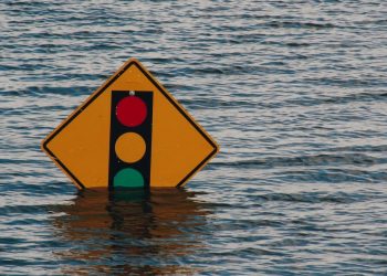 Traffic light sign in flood